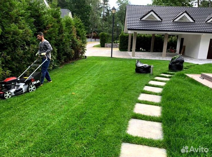 Рулонный газон