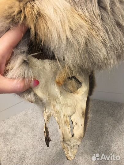 Меховая жилетка из лисы