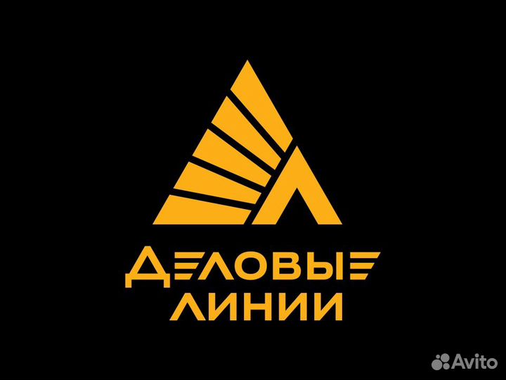 Грузчик (Вавилова)