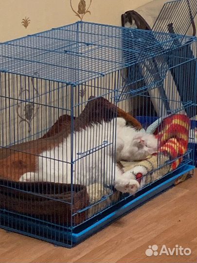 Клетка для птиц и грызунов