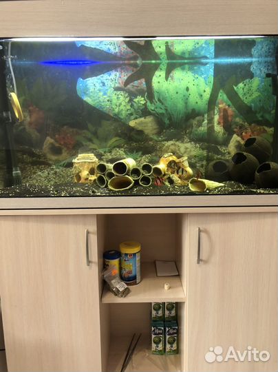 Аквариум 200 литров с тумбой