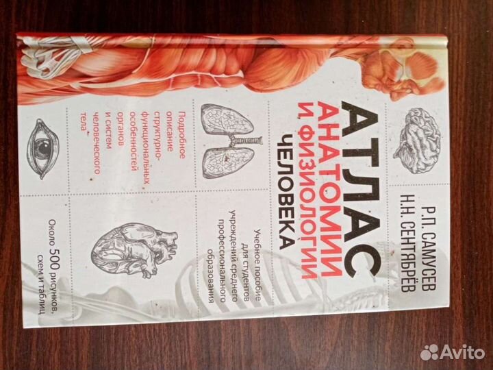 Атлас анатомии и физиологии человека