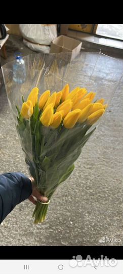 Тюльпаны к 8 марта розница