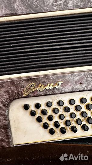 Аккордеон бу