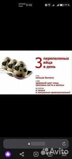 Яйца перепелиные и перепелята