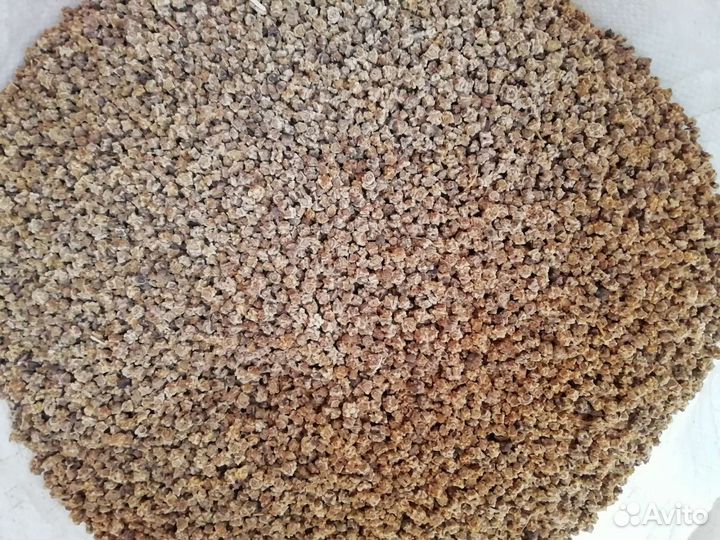 Семена кормовой свёклы Эккендорфская Лада Бригадир