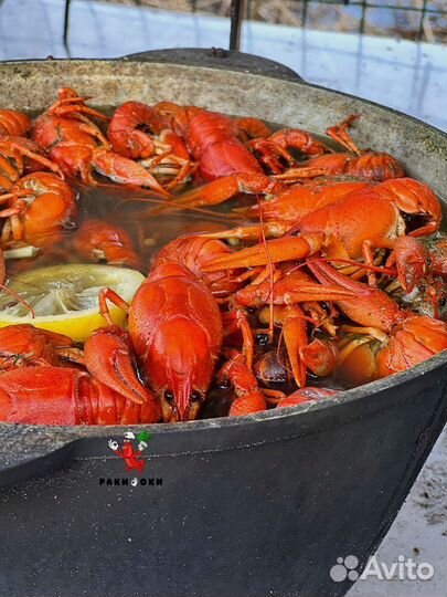 Живые раки с доставкой