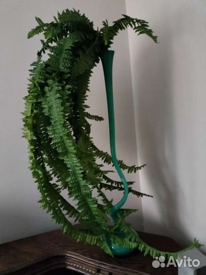 Ваза с папоротником