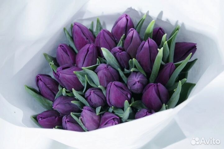 Тюльпаны в розницу