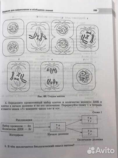 Биология 10 класс (пособие для сам.раб). Теремов