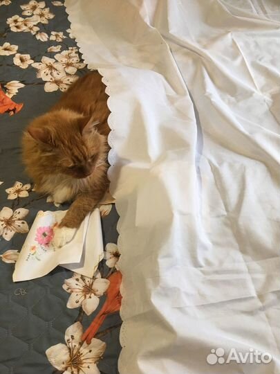 Вещи/ Текстиль для дома пакетом