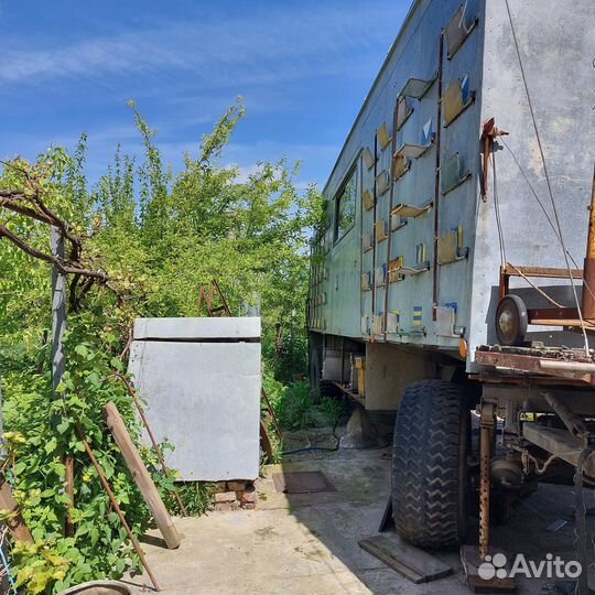 Пчелы, павильон