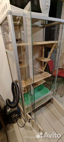 Клетка - витрина для грызунов