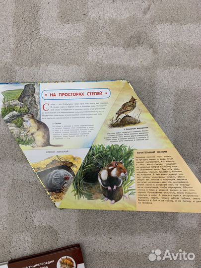 Книги для детей пакетом