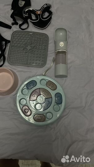 Аксессуары для собак