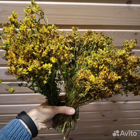 Зверобой сушёный в пучках сбор 2023