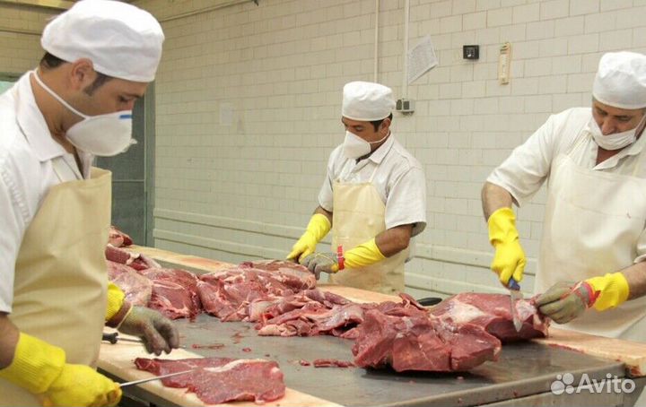 Работа разнорабочим на мясокомбинате(Вахта)