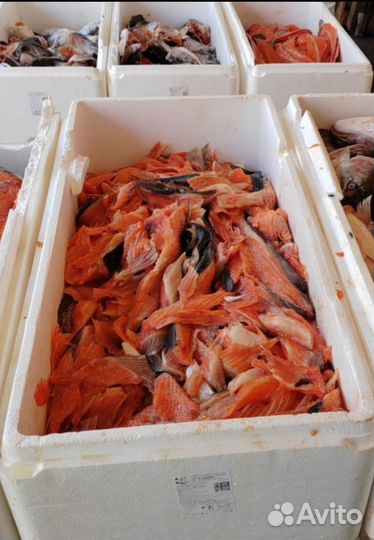 Суповой набор из лосося