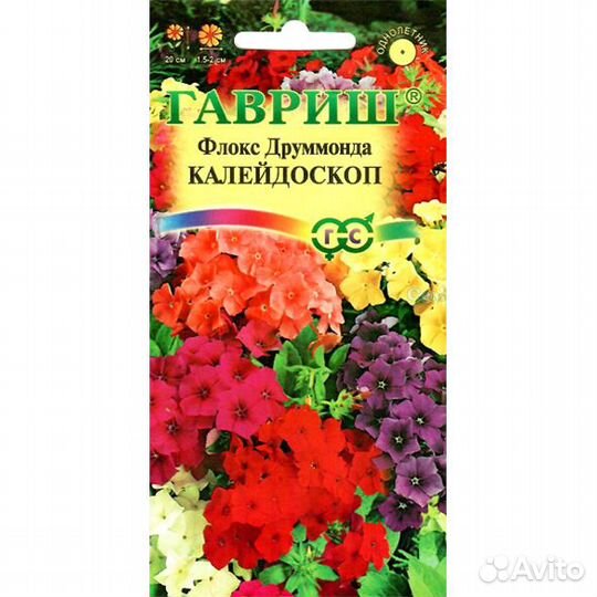 Флокс Друммонда Калейдоскоп