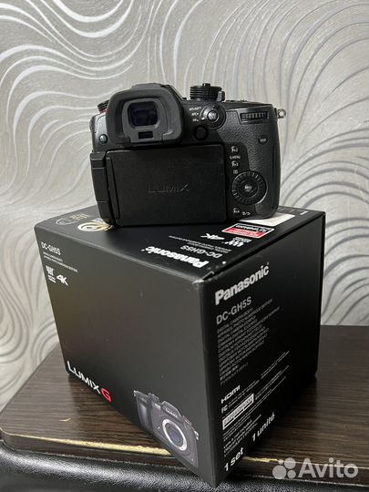 Беезеркальная камера Panasonic Lumix GH5S