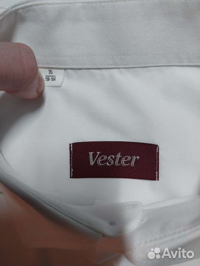 Мужская белая рубашка Vester
