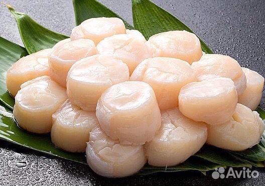 Морской гребешок Северо-Курильский (разм М) 500 г