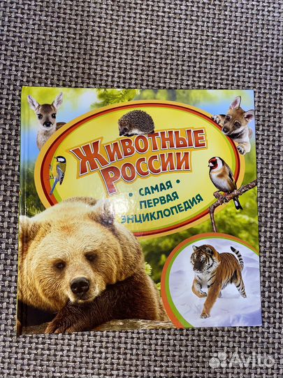 Энциклопедия