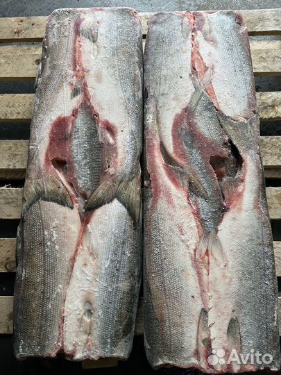 Продам свежемороженную горбушу, кету, нерку