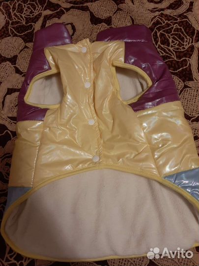 Одежда для средних собак