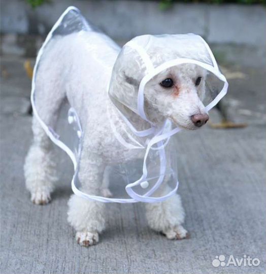 Дождевик для маленькой собаки