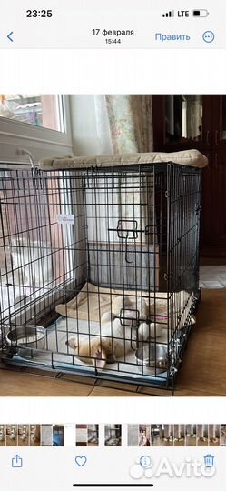 Клетка для собак