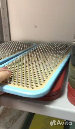 Доска с гвоздями Садху