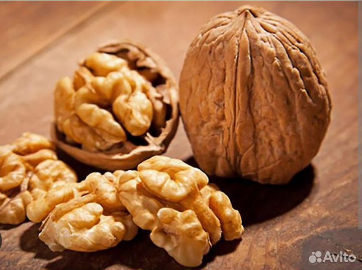 Семена грецкого ореха