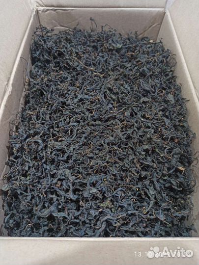 Иван чай (Кипрей)