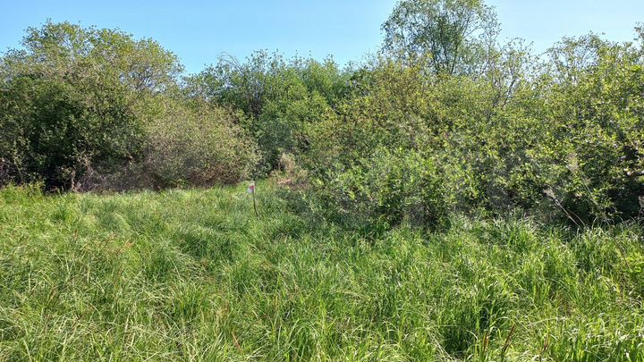 Участок 15 сот. (ИЖС)