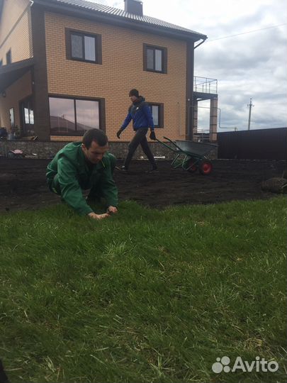 Газон рулонный Башкирия