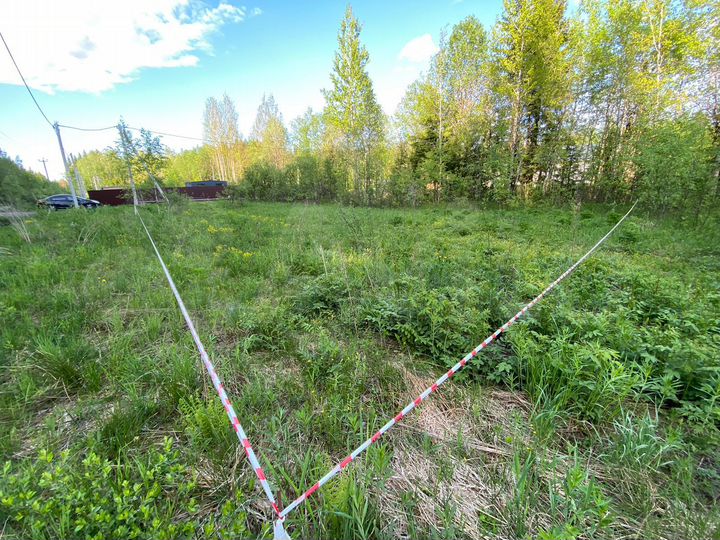 Участок 8,1 сот. (СНТ, ДНП)