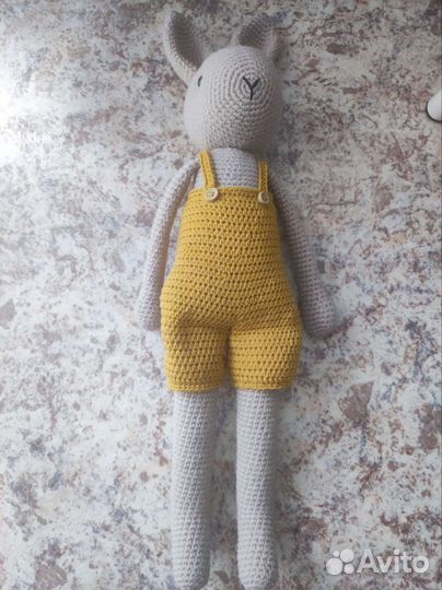 Заяц Роберт