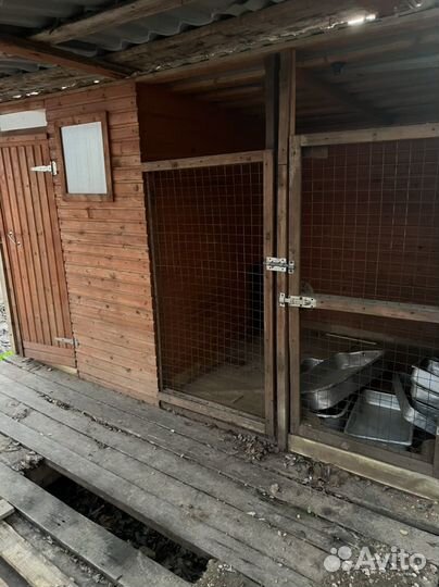 Вольер для собак уличный