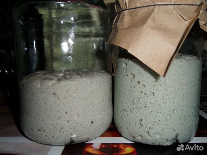 Закваска для хлеба активная или сухая