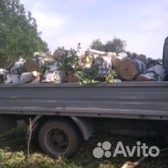 Дрова березовые