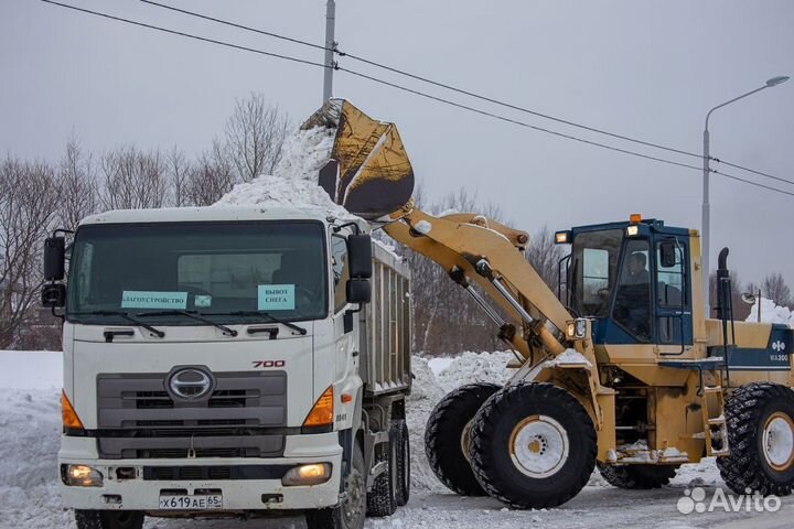 Вывезти мусор тбо,услуги по вывозу снега