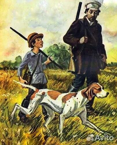 Перепел для охоты и для корма животным