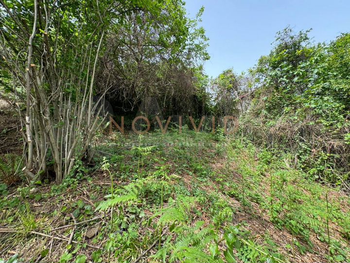 Участок 4 сот. (ИЖС)