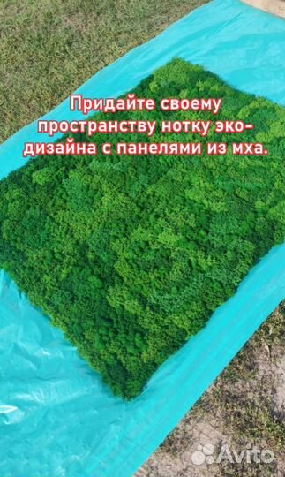 Придайте своему пространству нотку эко-дизайна с п