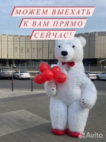 Поздравление от белого медведя 3.5 метра высотой