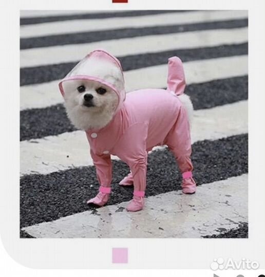 Дождевик для собаки