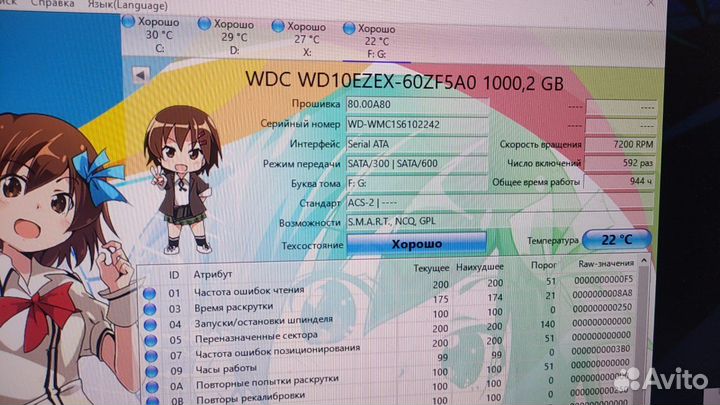 Hdd WD blue 1tb