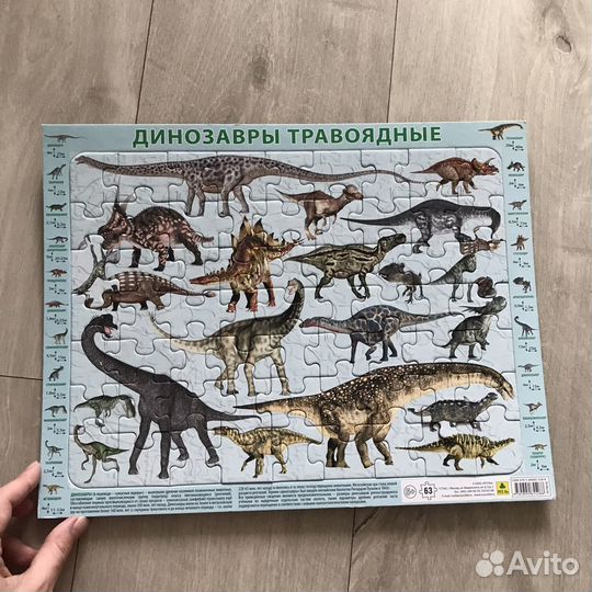 Пазлы динозавры