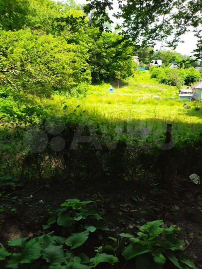 Участок 33,5 сот. (СНТ, ДНП)